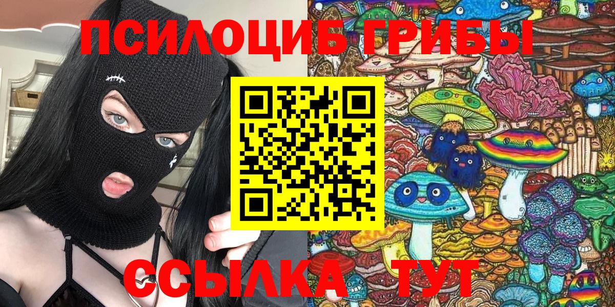 Новоуральск  Галлюциногенные грибы мицелий  Вход с VPN  Псилоцибиновые грибы Psilocybine cubensis 